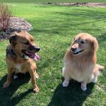 Greta And  Mason - @gretaandmason - Instagram