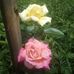 Greta Gail Gibson - Facebook
