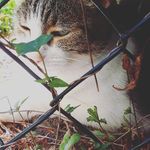 Greta moser - @mactinus_gurl_08 - Instagram