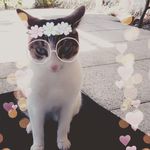 Greta moser 🌹🌹 - @mactinusgurl_08 - Instagram