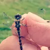 moses_greta - @12gmoses34 - TikTok