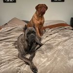 Nash & Greta - @nash_and_greta - Instagram