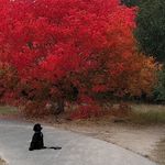 Greta Olson - @drgretao - Instagram