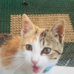 Greta - @greta___princesa - Instagram