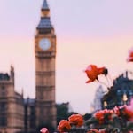 greta_princess_fp - @greta_princess_fp - Instagram