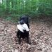 Grete Schuster - Facebook