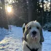 Greta Snellman - @ines.snellman - TikTok