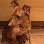 Gretchen Sinclair Stanton - @gmomstanton - Instagram