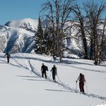 Gretchen Swanson - @gretch824 - Instagram