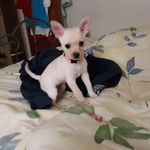 Greta Taylor - @greta.taylor69 - Instagram