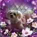 Greta Terry - Facebook