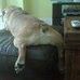 Gretta Todd - Facebook