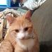Gretchen Ayers - Facebook