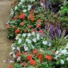 Gretchen Ayres - @gretchen.ayres - TikTok