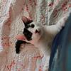 Gretchen Beach - @gretchen.beach - TikTok