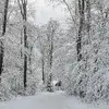 Gretchen Bentler - @gretchen.bentler - TikTok