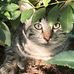 Gretchen Potts - Facebook