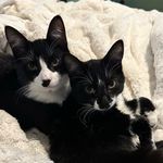 Gretchen & Bruce - @gretchen.n.bruce - Instagram