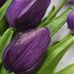 Gretchen Cross - Facebook
