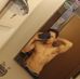 Chrishin Dally - Facebook