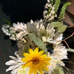 Gretchen Dixon - Facebook