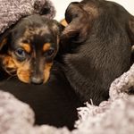 Griffin & Gretchen Dixon - @griffin_and_gretchen - Instagram