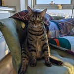 Gretchen Eckford - @gretcheneckford - Instagram