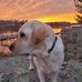Gretchen Estes - Facebook
