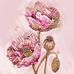 Gretchen Faust - Facebook