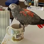 Gretchen Fleming - @gretchen.fleming.12 - Instagram