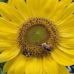Gretchen Gallagher Durney - @gretchgal - Instagram