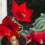 Gretchen Geller - @gretchen67964 - Instagram