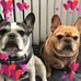 Gretchen Goodman - Facebook