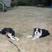 Gretchen Goodson - Facebook