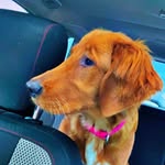 Gretchen Hakime - @gretchenhakime - Instagram