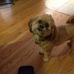 Gretchen Hammond - Facebook