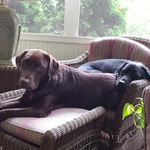 Gretchen Harrell - @gretchenharrell - Instagram