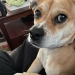 Gretchen Hebert Drake - @secondgretchen - Instagram