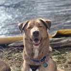 Gretchen Hunter - Facebook