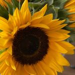 Gretchen Kirsch - @gkirsch111 - Instagram