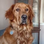 Gretchen Knapp Brayer - @gretchen_knapp_brayer - Instagram