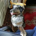 Gretchen Larson - @begretchen - Instagram