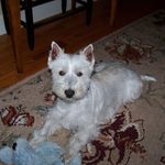 Gretchen M. Larson - @gretchlarson - Instagram