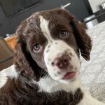 Gretchen Pennington - @gmp0103 - Instagram