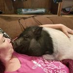 Gretchen Phelps - @gretchen.phelps.7 - Instagram