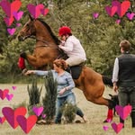 Gretchen Phillips - @gretchenphillips948 - Instagram