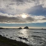 Gretchen Phillips - @gloup4you - Instagram