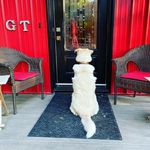 Gretchen Phillips - @gphillipsparsons - Instagram