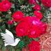 Gretchen Graham - Facebook