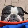 Gretchen_Popetchen - @user9901354231621 - TikTok